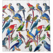 Rideau en douche animal de faune d'oiseaux de (Devant)