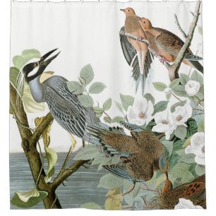 Rideau en douche animal de hérons d'Audubon et