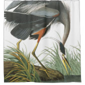 Rideau en douche bleu de faune d'Audubon d'oiseaux (Devant)