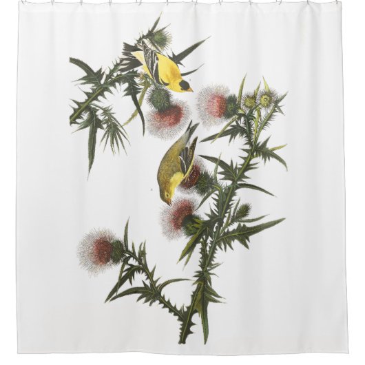 Rideau en douche d'Audubon de faune d'oiseaux de (Devant)