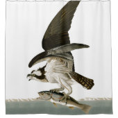 Rideau en douche d'Audubon d'océan d'oiseau de (Devant)