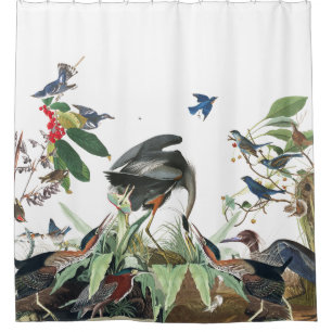 Rideau en douche d'Audubon d'oiseaux de collage de
