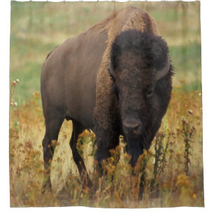 Rideau en douche de bison américain