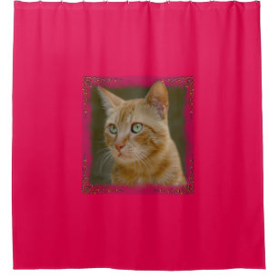 Rideau en douche de chat de gingembre