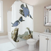 Rideau en douche de faune d'oiseaux de (En situation)