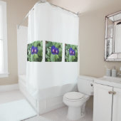 Rideau en douche de fleur de gloire de matin (En situation)