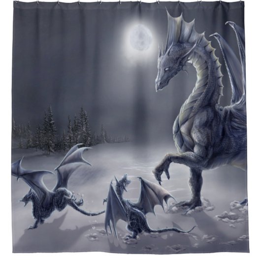 Rideau en douche de jour de neige (Devant)