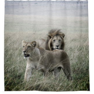 Rideau en douche de paires de lion (filtre de