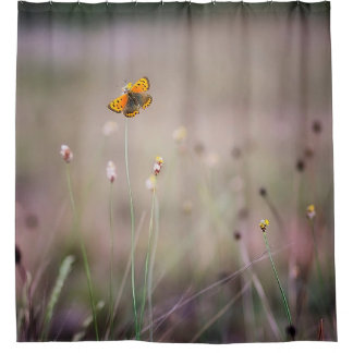 Rideau en douche de papillon