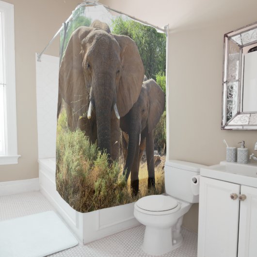Rideau en douche d'éléphants africains (En situation)