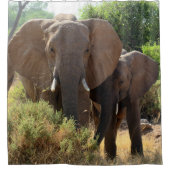 Rideau en douche d'éléphants africains (Devant)