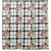 rideau en douche des montagnes occidental de (Devant)