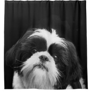 Rideau en douche noir et blanc de chien de Shih