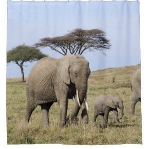 Rideau en éléphant et en baby shower