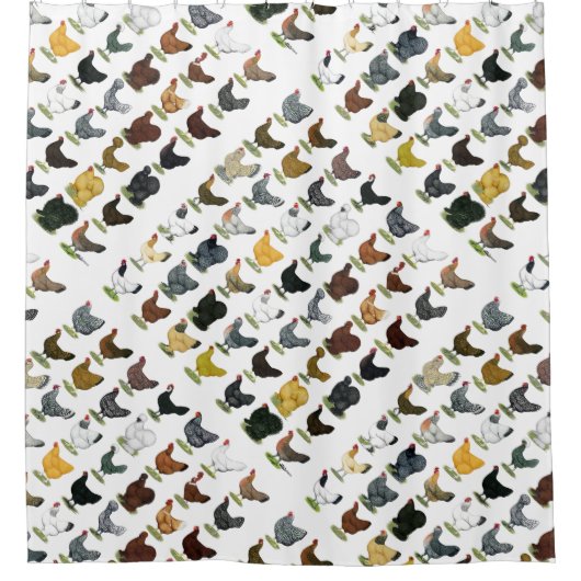 Rideaux De Douche 49 poules de poulet (Devant)