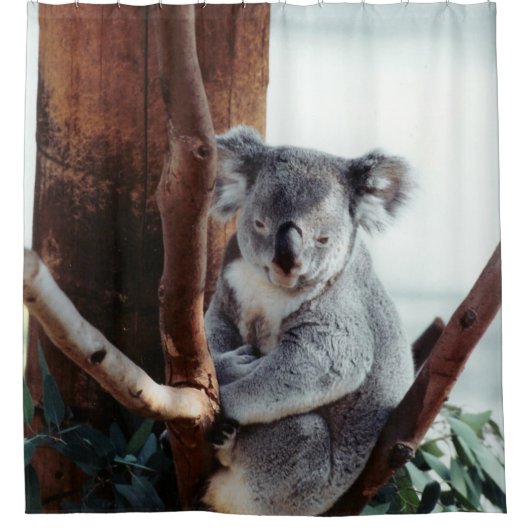 Rideaux De Douche Adorable Ours Koala (Devant)