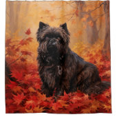 Rideaux De Douche Affenpinscher en automne Feuilles automne Inspiré (Devant)