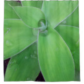 Rideaux De Douche Agave et Raindrops (Devant)