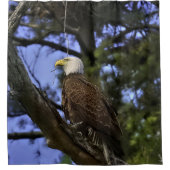 Rideaux De Douche Aigle maturé (Devant)