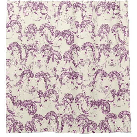 Rideaux De Douche Alaskan Dall mouton perle violette (Devant)