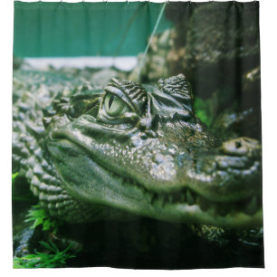Rideaux De Douche Alligator