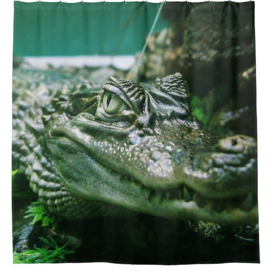 Rideaux De Douche Alligator (Devant)
