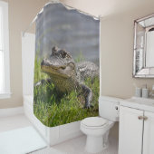 Rideaux De Douche ALLIGATOR dans la DOUCHE (En situation)