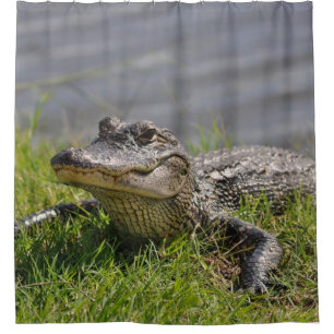 Rideaux De Douche ALLIGATOR dans la DOUCHE