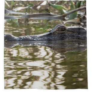 Rideaux De Douche Alligator qui traîne dans les eaux des marais
