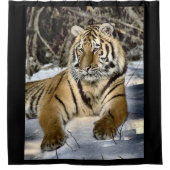 Rideaux De Douche Amateurs de tigres (Devant)