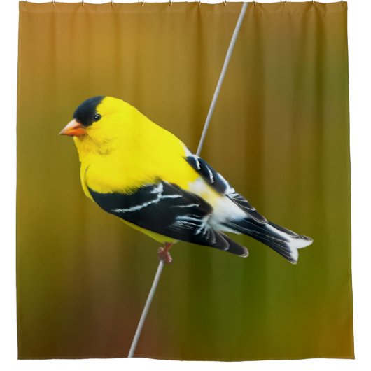 Rideaux De Douche American Goldfinch - Photo originale (Devant)
