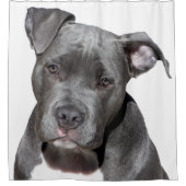Rideaux De Douche American Pit Bull Terrier (Devant)