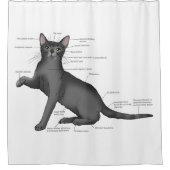 Rideaux De Douche Anatomie du chat amusant (Devant)