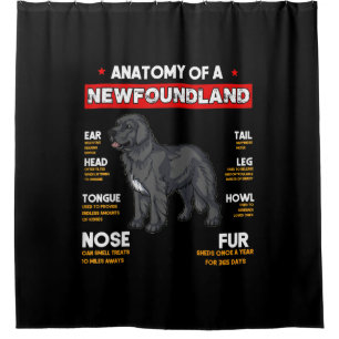 Rideaux De Douche Anatomie D'Un Chien De Terre-Neuve Amateurs