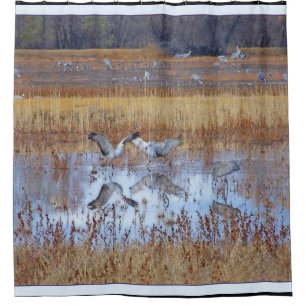 Rideaux De Douche Animal de faune d'oiseaux de grue de Sandhill