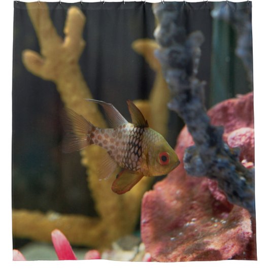Rideaux De Douche Animaux marins (Devant)