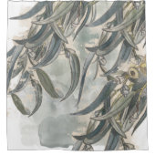 Rideaux De Douche Aquarelle Eucalyptus Verdure Feuille (Devant)