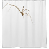 Rideaux De Douche Araignée (Devant)