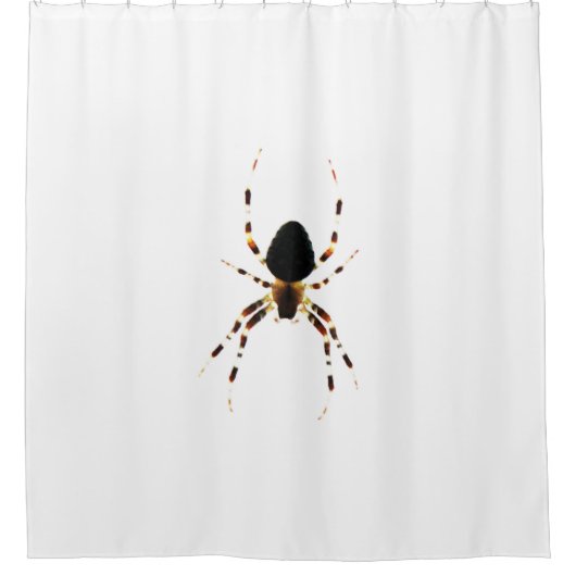 Rideaux De Douche Araignée (Devant)