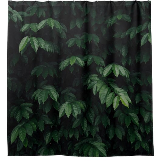 RIDEAUX DE DOUCHE ARBRE VERT (Devant)