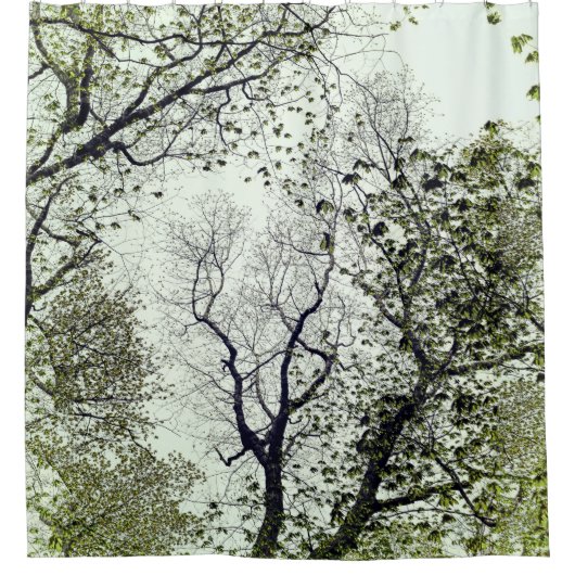 Rideaux De Douche Arbres et Feuille Olive et Seafoam Green (Devant)