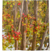 Rideaux De Douche Arbres myrtes de colza (Devant)