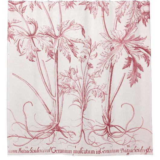 Rideaux De Douche Art botanique Vintage rose (Devant)