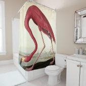 Rideaux De Douche Audubon American Flamme John James Audubon (En situation)
