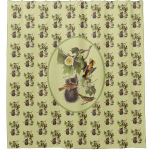 Rideaux De Douche Audubon Birds Vintage Troupial Oriole