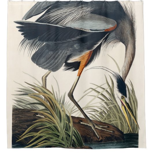Rideaux De Douche Audubon Great Blue Heron 1834 Plate CCXI (Devant)