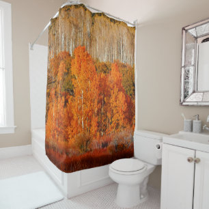 Rideaux De Douche Automne Automne Couleur Aspens Kolob Zion Douche r