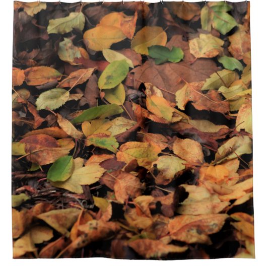 Rideaux De Douche automne, feuille sec (Devant)