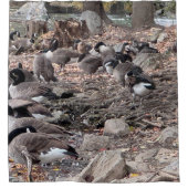 Rideaux de douche avec oies dans le parc (Devant)