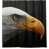 Rideaux De Douche Bald Eagle sccnm (Devant)